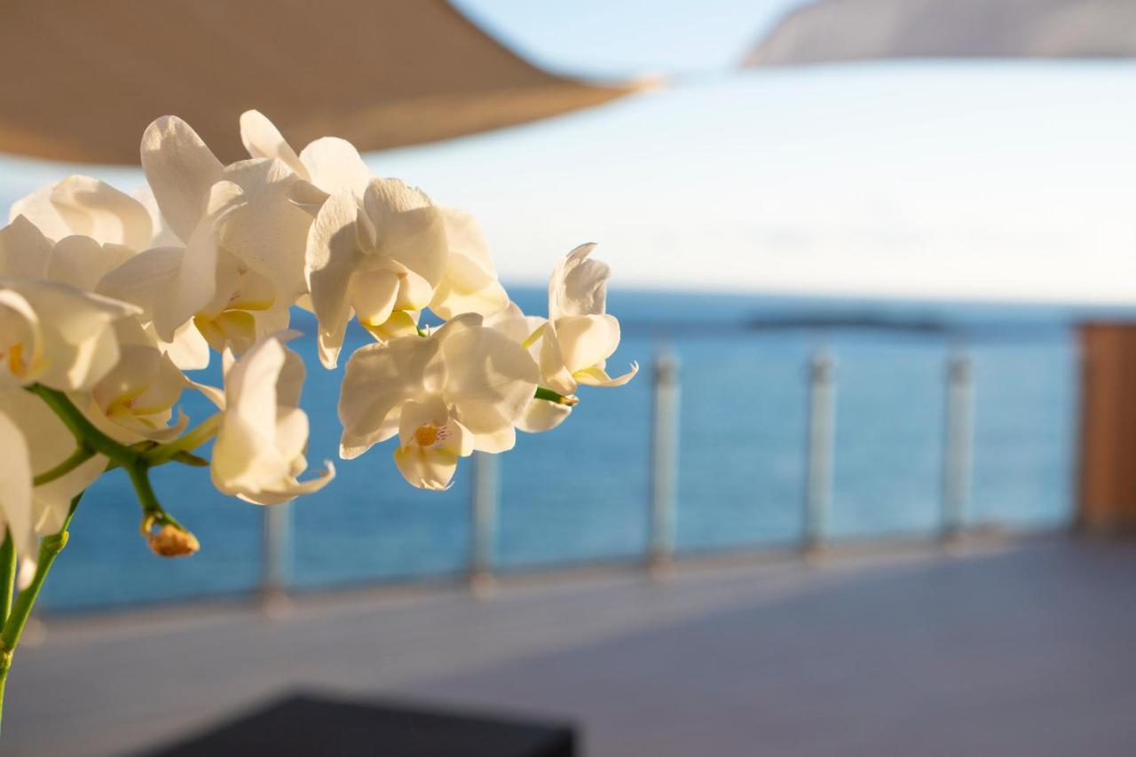 La Dimora Sul Mare Bed & Breakfast Marina di Camerota Bagian luar foto